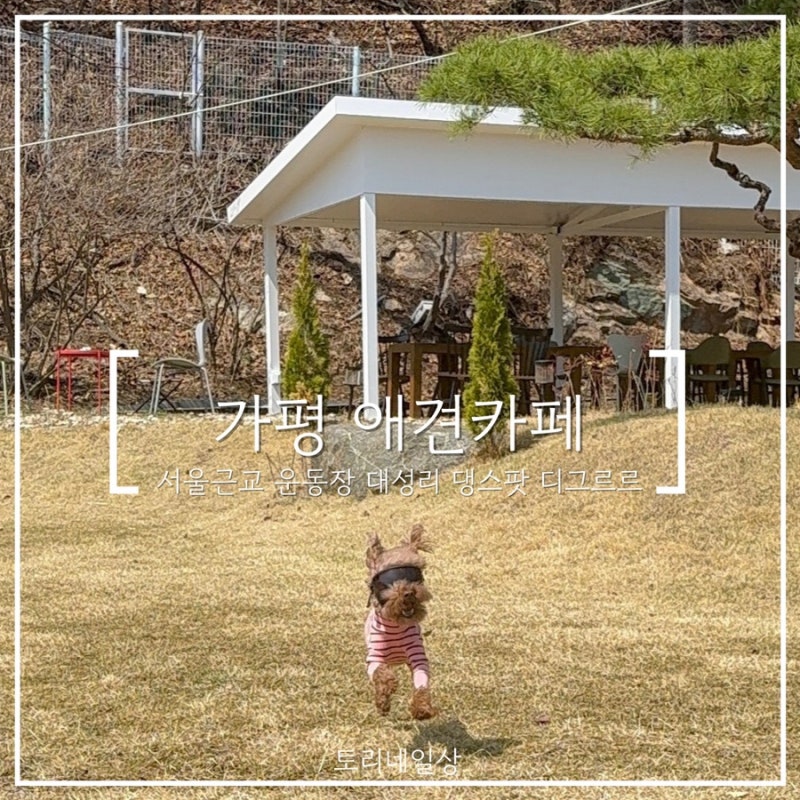 사진 6