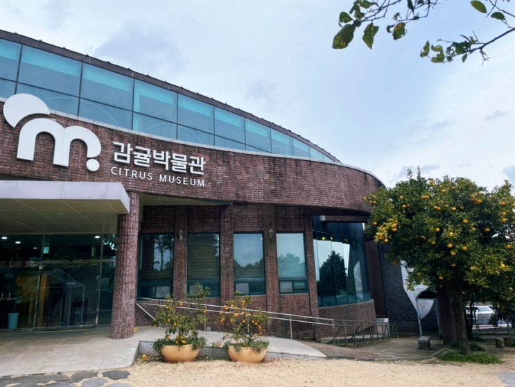  서귀포 감귤박물관 후기 감귤이 가득한 실내 여행 코스(ft.운영시간, 요금 등)