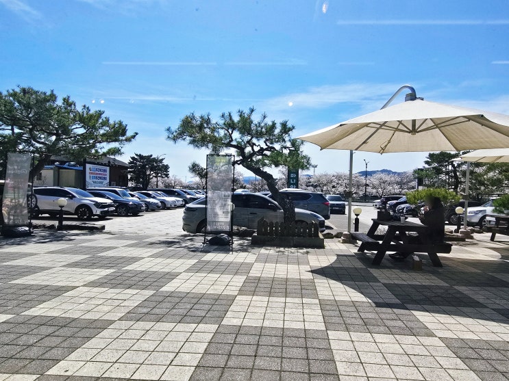  [경주] 가성비 좋은 샤브샤브, 샤브마니아 경주동천점