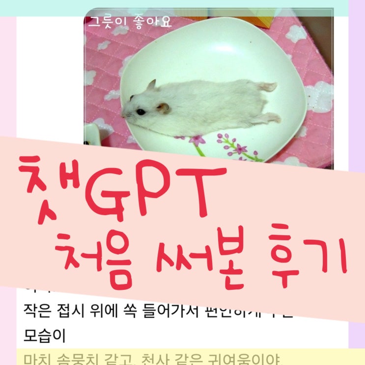  챗GPT 난생 처음 써본 후기 - 챗지피티 햄스터 키워요