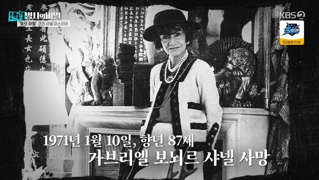 샤넬, 화려한 남성 편력에 송해나 “적당한 얼굴이 바람 많이 펴” 팩폭 (‘셀럽병사의 비밀’)
