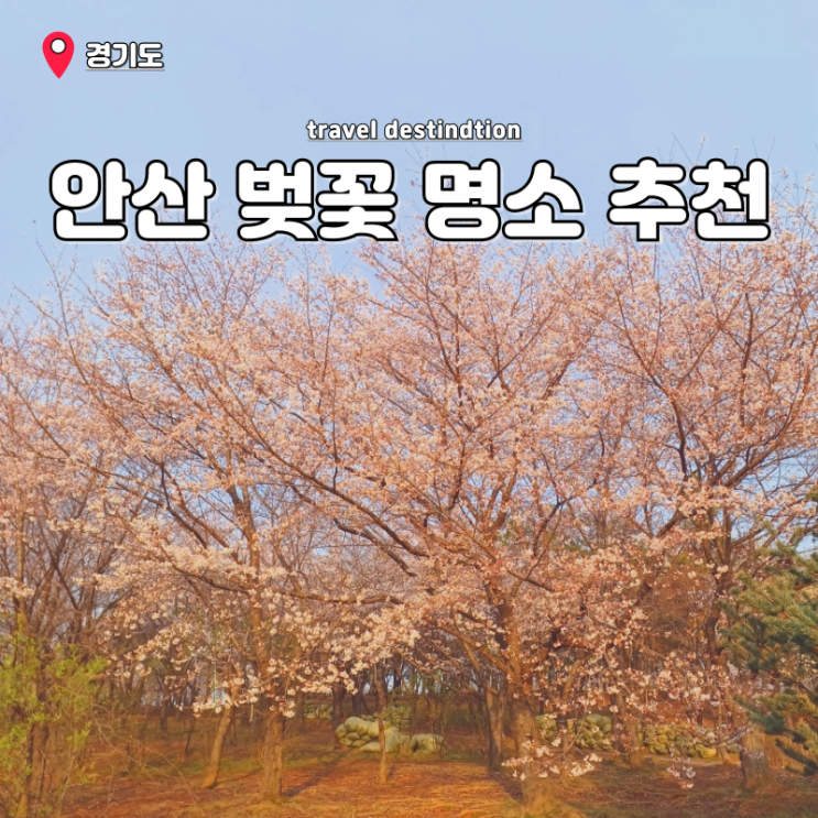 안산 벚꽃 명소 추천 안산호수공원 꽃구경 총정리 장소 주차팁 안산 벚꽃 명소 추천 안산호수공원 꽃구경 총정리 장소 주차팁