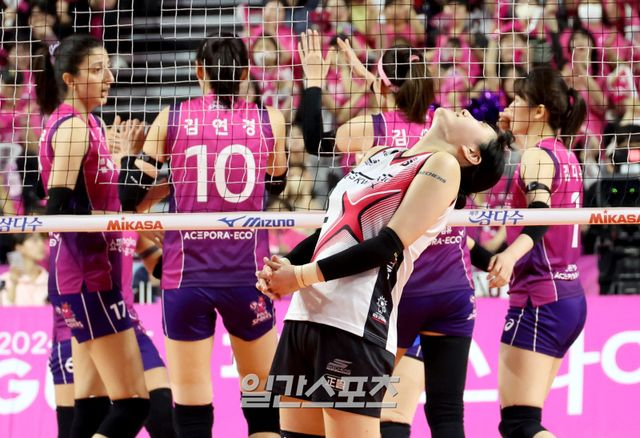  '투혼이 레이스' 정관장, 김연경 라스트 댄스 빛낸 최고의 조연 [IS 인천]