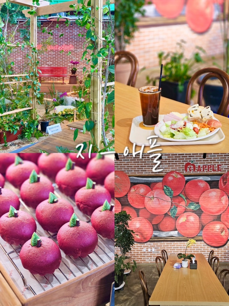  거창 대형 카페 브런치 맛있는 사과카페 거창 지애플