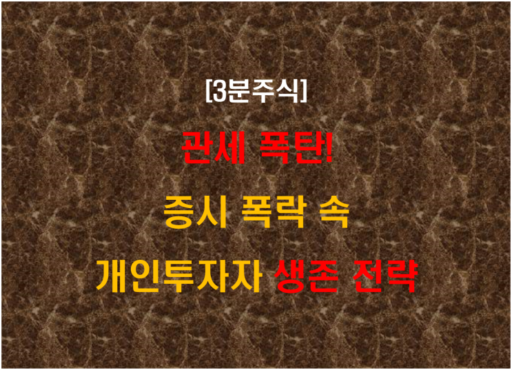  관세 폭탄! 증시 폭락 속 개인투자자 생존 전략