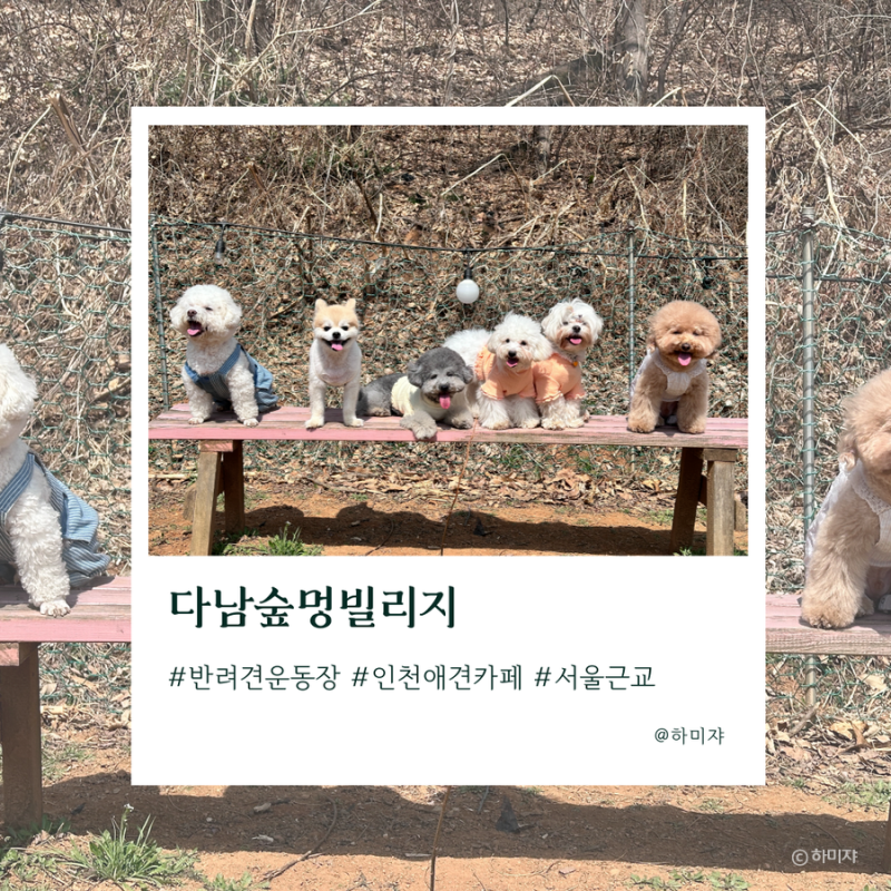 사진 5