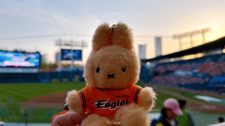 프로야구ㅣ0408 한화vs두산 <b>문동주</b> 선발경기 직관