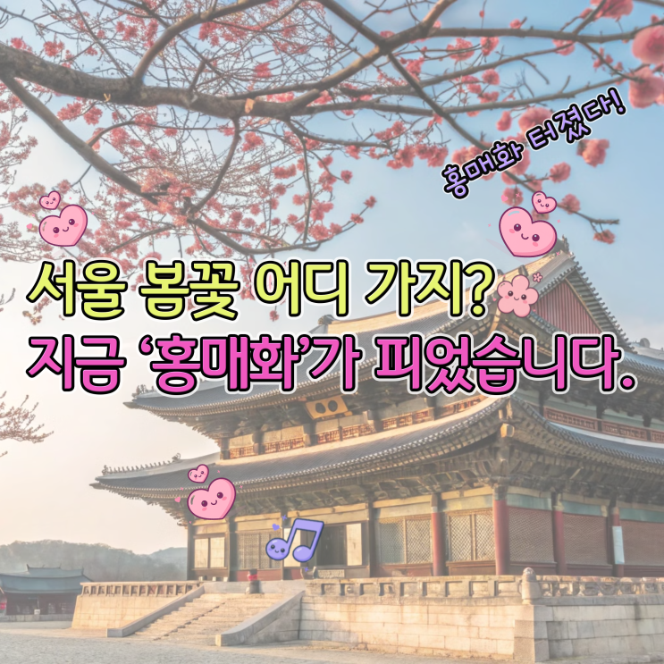  창덕궁 홍매화 만개와 서울 봄꽃 명소 추천