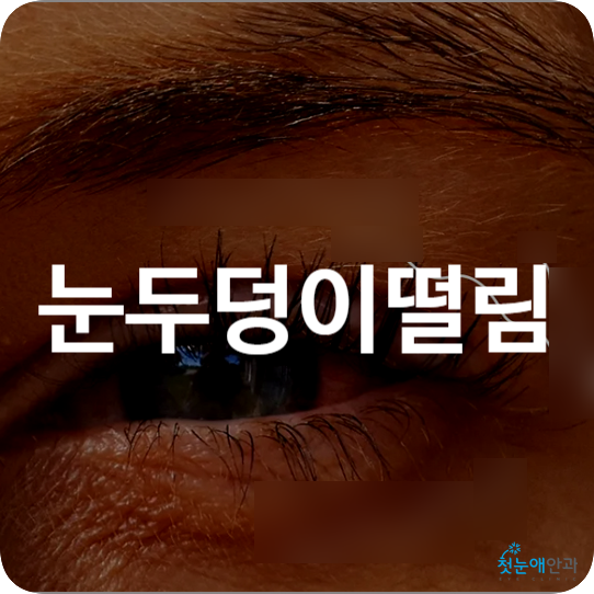눈두덩이떨림 원인 지속 마그네슘 눈이파르르 신호