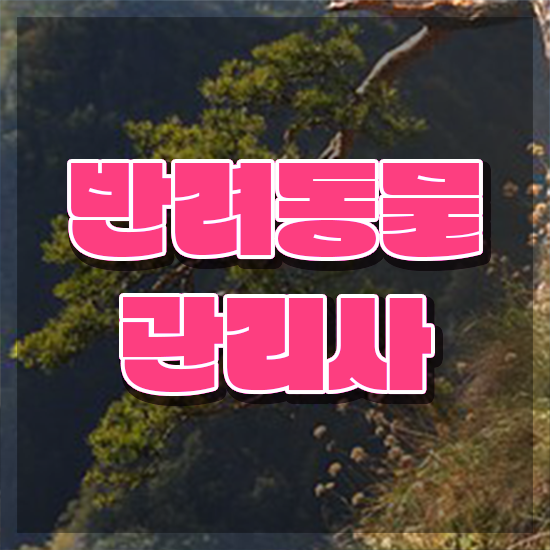  반려동물종합관리사 , 반려동물관리사 독학으로 시험준비