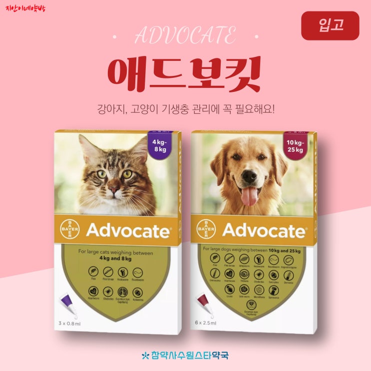  애드보킷 고양이, 애드보킷 강아지 약국 심장사상충 약국 가격