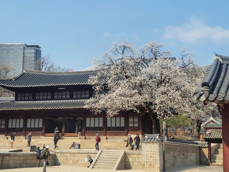  [서울 중구] 덕수궁 석어당 - 옛날 임금이 머물던 곳
