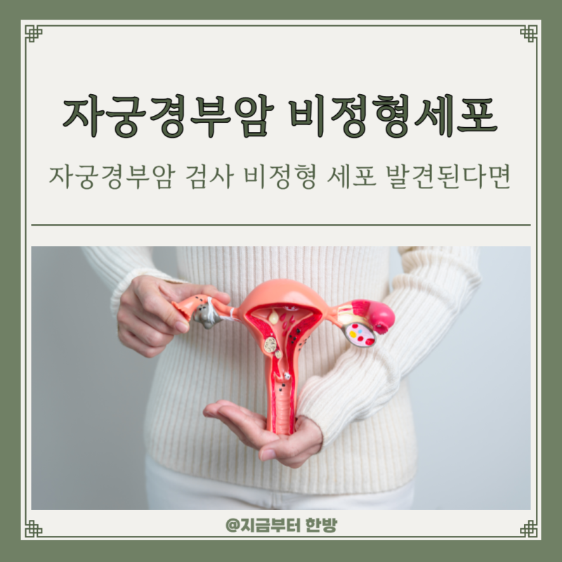 자궁경부암 검사 비정형 세포 발견된다면