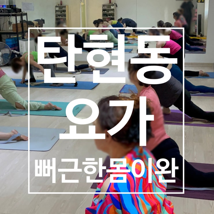  탄현동요가 | 뻐근한 몸을 풀어내기 레디바디 탄현점 일산요가수업