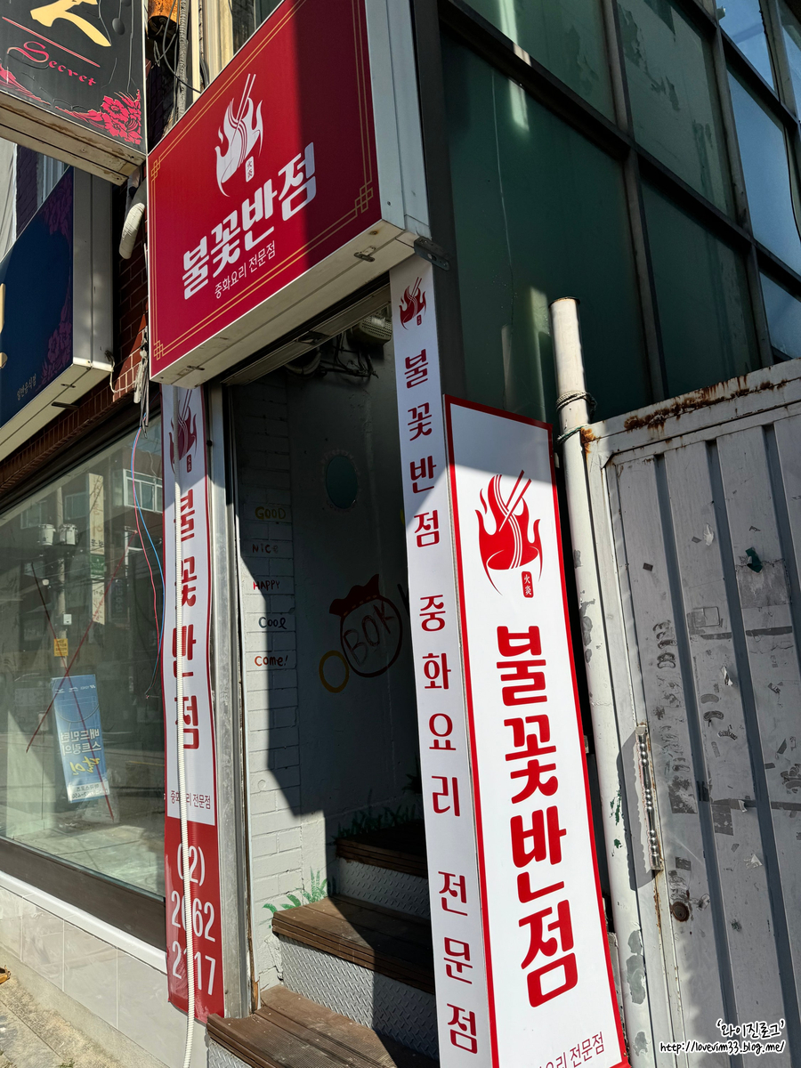 불꽃반점 사진 3