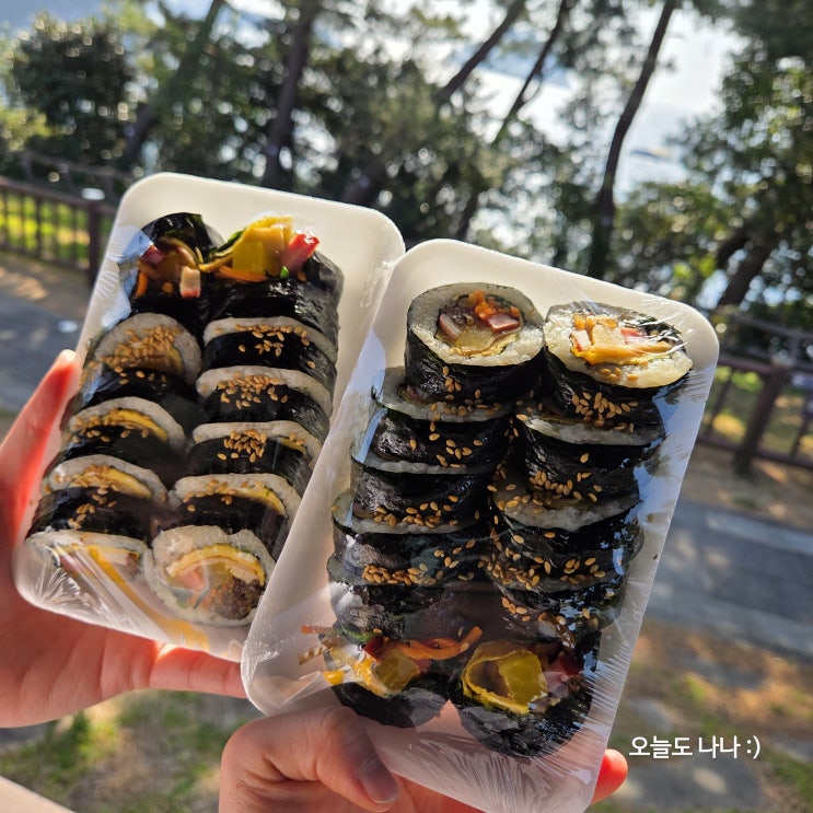  유채꽃 보며 소풍 느낌 물씬?! 제주도 김밥, 한라네김밥 :D