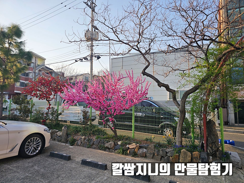 한식교 대전원내점 사진 4