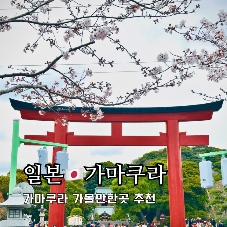 도쿄 근교 여행 가마쿠라 가볼만한곳 벚꽃길 쓰루가오카하치만궁 도쿄 근교 여행 가마쿠라 가볼만한곳 벚꽃길 쓰루가오카하치만궁