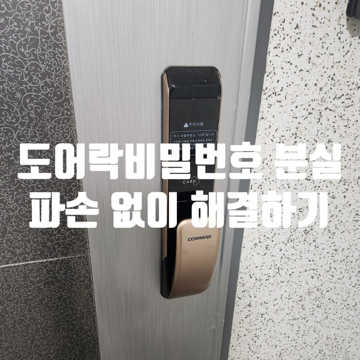  현관 디지털 도어락 비밀번호 분실 입력 오류 비 파손 해결 수리 김포 장기동 열쇠