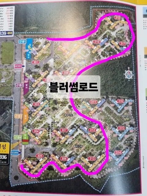 사진 5