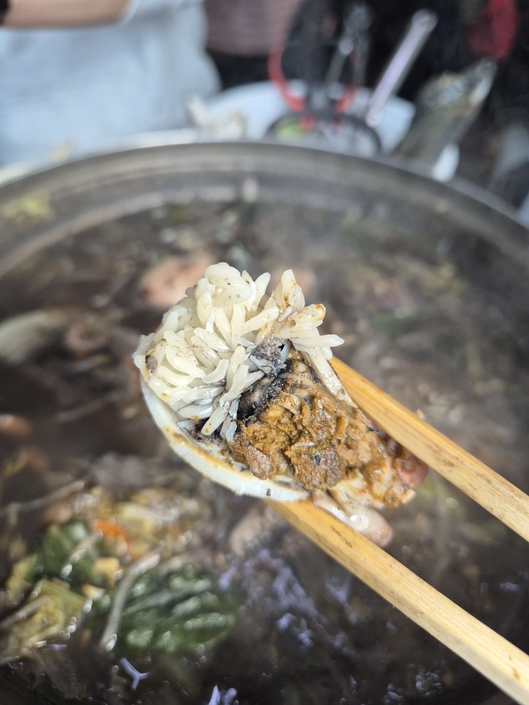  알이 꽉 찬 쭈꾸미 샤브샤브 먹으러 궁평항으로 go~go~
