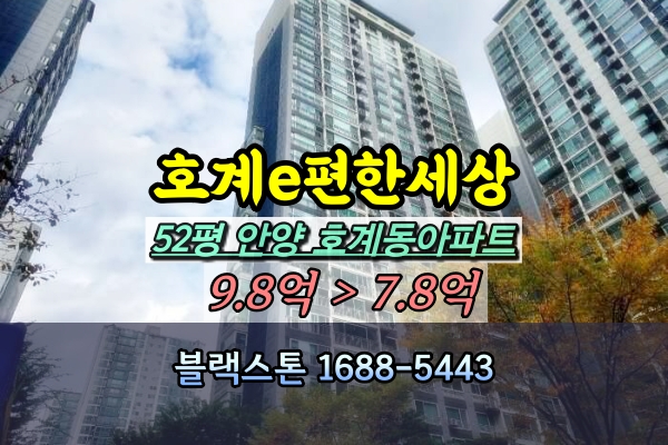  호계e편한세상 경매 52평 113동 [2024타경109310]