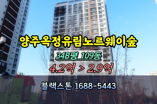  양주옥정유림노르웨이숲 경매 34B평 109동