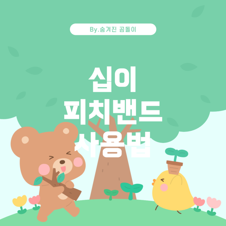  에이블톤 라이브: 십이 피치밴드 사용법
