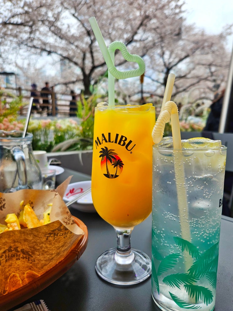 부산 온천천 인쌩맥주 벚꽃배경 맥주집 부산 온천천 인쌩맥주 벚꽃배경 맥주집