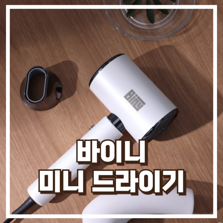  바이니 미니 드라이기 BHD-201 리뷰, 혜택가