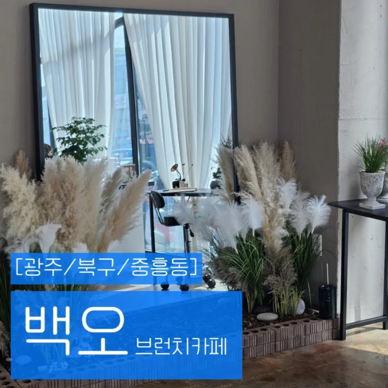 백오