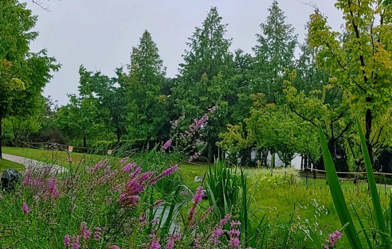 사진 5
