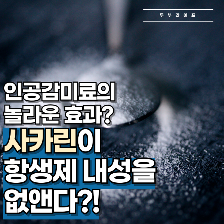  "인공감미료의 놀라운 효과?" 사카린이 항생제 내성을 없앤다?!