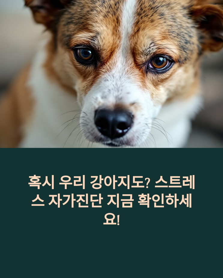  "혹시 우리 강아지도?" 강아지 스트레스 자가 진단 & 맞춤 설루션 공개!