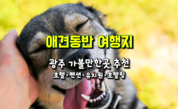 반려견과 함께 광주 가볼만 한 곳...광주 애견전용 유치원・호텔,애견동반 호텔・펜션