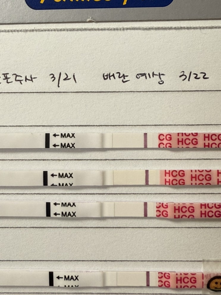  [임심준비 #5] 임신준비 중 제일 어려운 마음 내려놓기