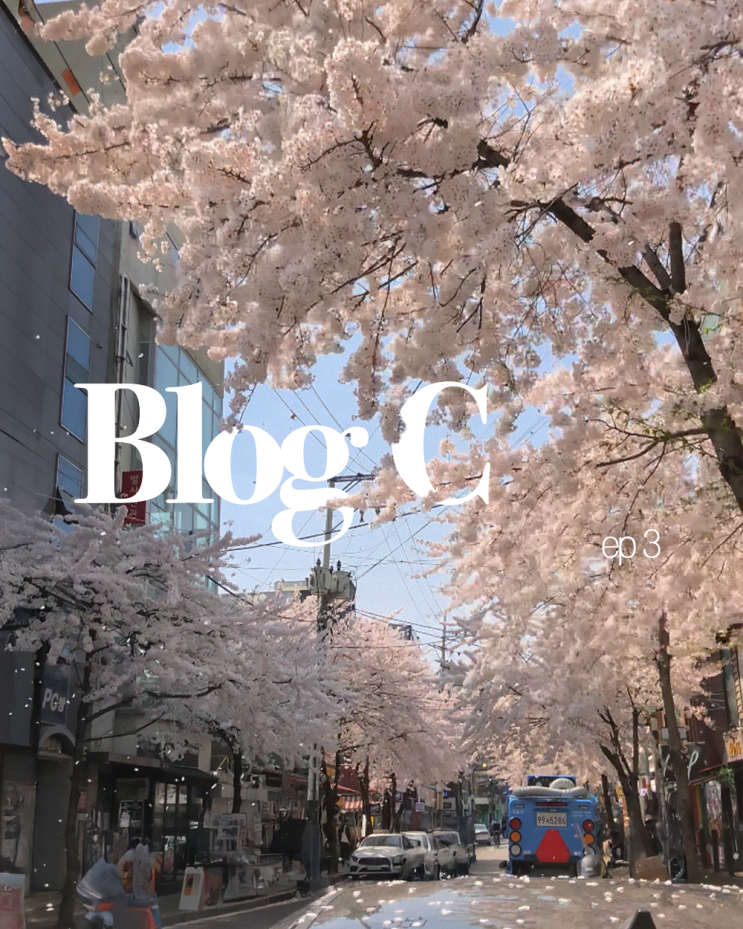  벚꽃은 매년 피지만, 순간은 지금뿐이야 봄을 기록하는 나만의 방법