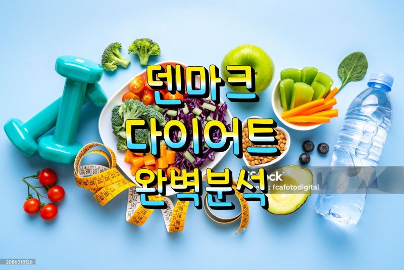 덴마크 다이어트 식단 효과 주의사항 총정리