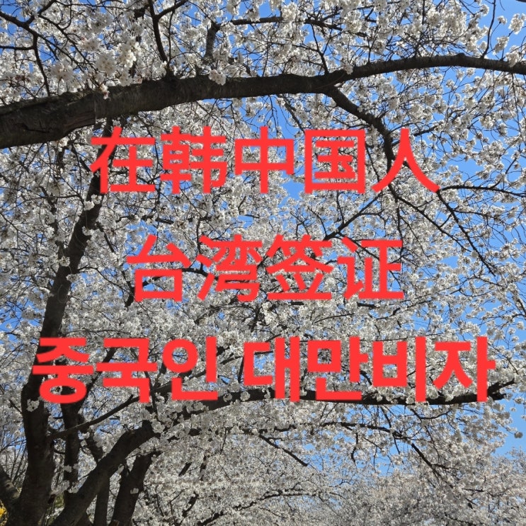  중국국적 대만비자 발급