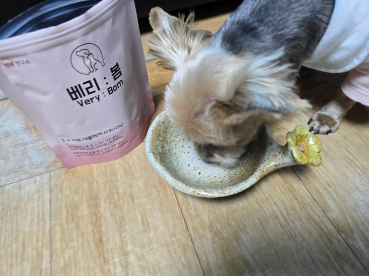  강아지눈영양제 비밀, 베리봄으로 더블케어 시작