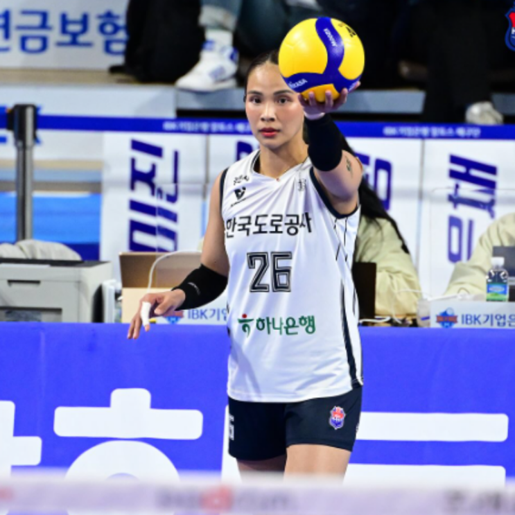 타나차, 피치, 료헤이, 알리, 야쿱 재계약 확정!! 아시아쿼터 드래프트 D-1!!(배구 아시아쿼터 드래프트 명단, 일정)