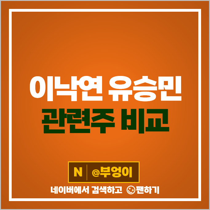 이낙연 유승민 관련주 정치 테마주 SDN 남선알미늄 주가 이월드 DSR 주식 이낙연 유승민 관련주 정치 테마주 SDN 남선알미늄 주가 이월드 DSR 주식