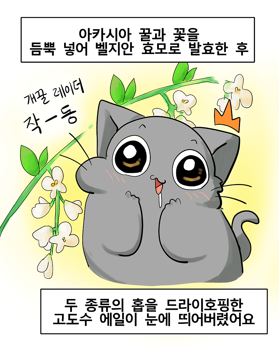 제이에이치브루잉 사진 5