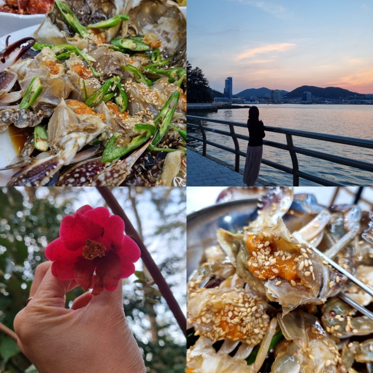  여수 오동도 현지인 맛집 여수 게장 무한리필 낭만별식