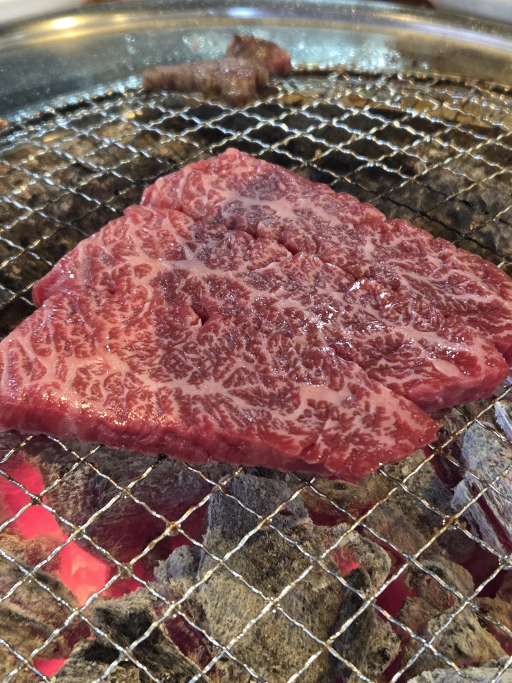  서울 용두동 <경동한우> 핫한 고깃집 한우 돼지갈비 추천(제기동역 경동시장 근처맛집)