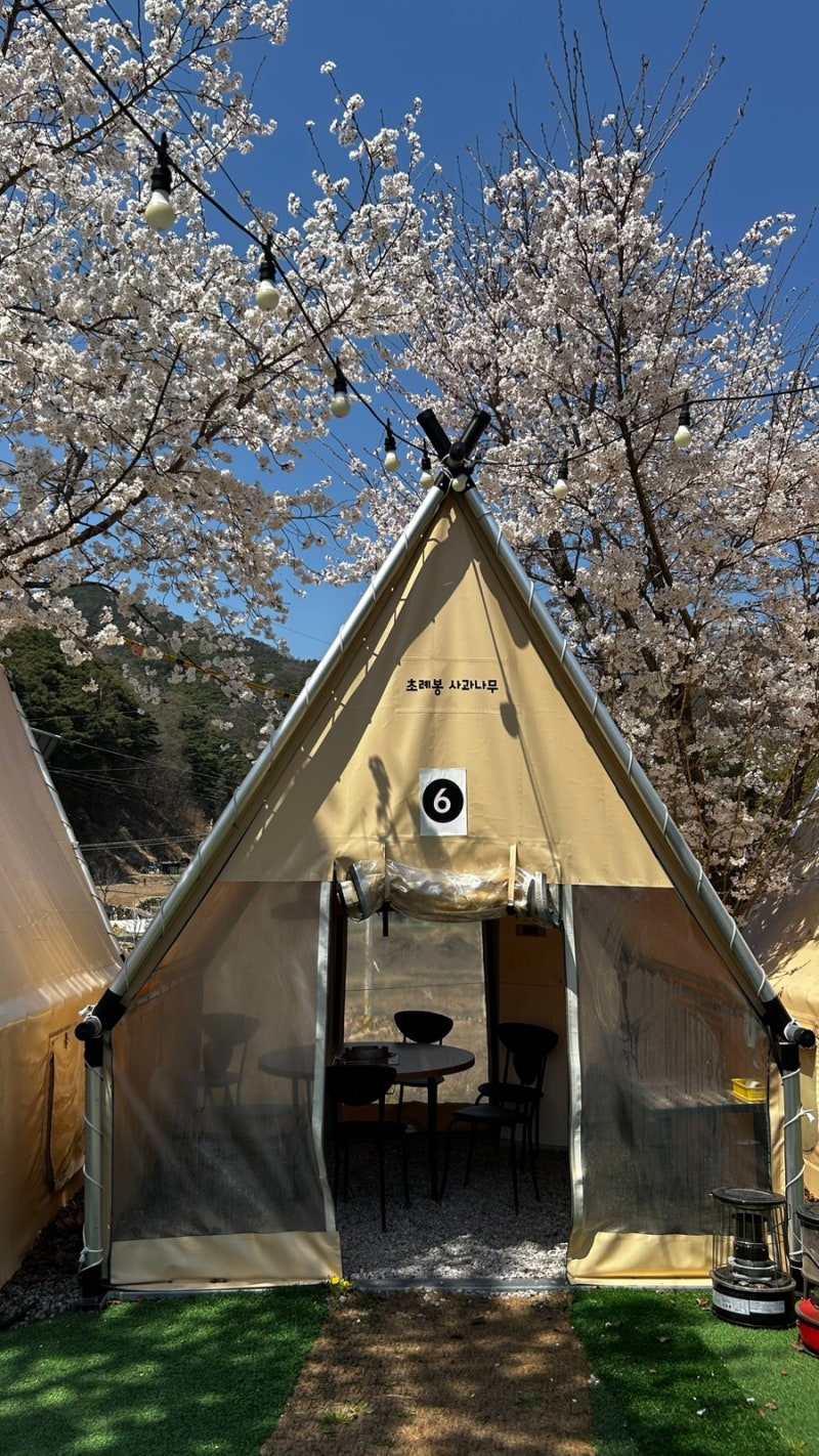 사진 3