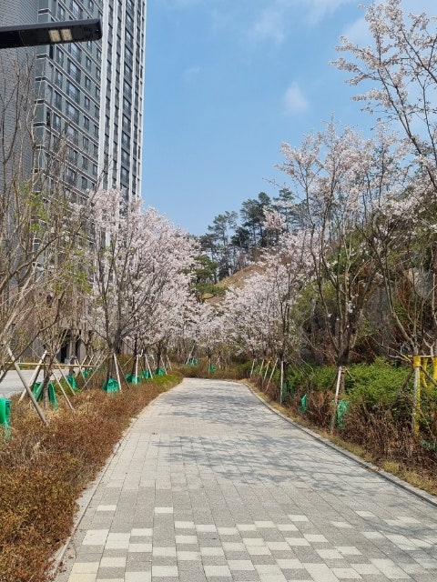 사진 6