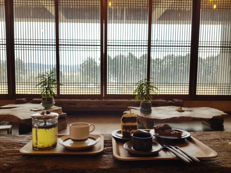  광주 근교 함평 폐교 카페 시목 애견동반 솔직후기