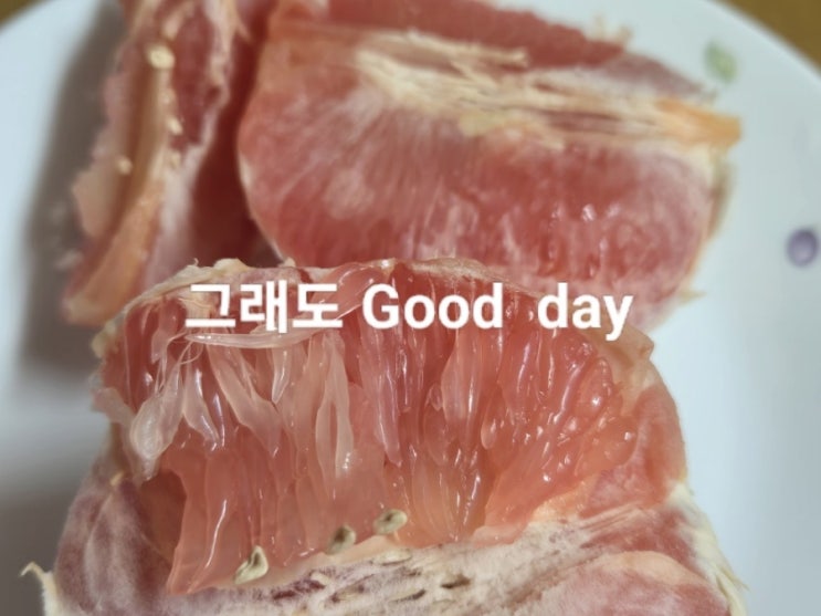  [뽕뜨개 일상& 생각]내 눈~~~~우울 모드/ 그러나 힘이 난다