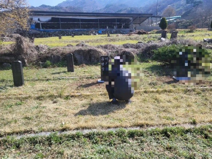  2025년 김천시 대항면 비석 2조설치 고인돌장묘개발 #손없는날 #윤달 #벌초 #이하늘장사 #장의사 #이장 #화장 #김천장의사 #구미장의사 #선산장의사 #상주장의사 #성주장의사